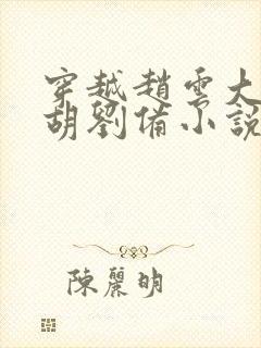 穿越赵云大哥截胡刘备小说