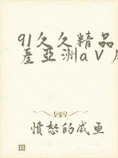 91久久精品国产亚洲a∨麻豆