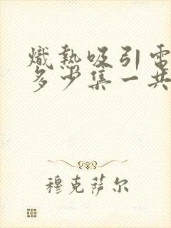 炽热吸引电视剧多少集一共