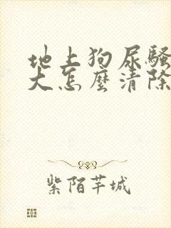 地上狗尿骚味很大怎么清除