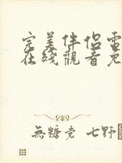 完美伴侣电视剧在线观看免费