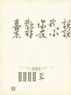 喜欢你我说了算叶非夜小说