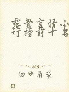 露骨言情小说排行榜前十名封面