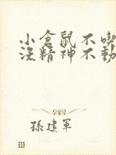 小仓鼠不吃不喝没精神不动蜷缩着