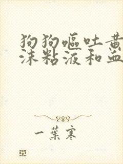 狗狗呕吐黄水泡沫粘液和血