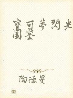 宝可梦闪光精灵图鉴