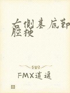 右侧基底节区脑腔梗