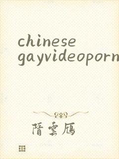 chinesegayvideoporn