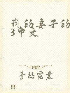 我的妻子的姐姐3中文封面
