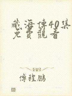 藏海传40集全免费观看封面