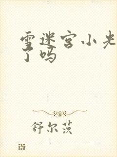 雪迷宫小光牺牲了吗