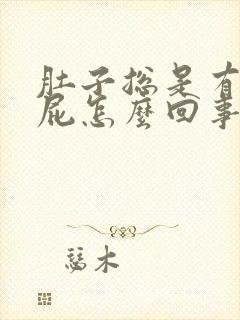 肚子总是有气放屁怎么回事封面