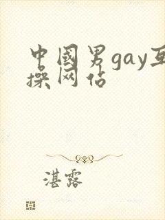 中国男gay互操网站