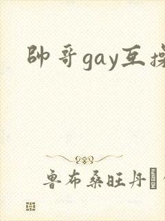 帅哥gay互操
