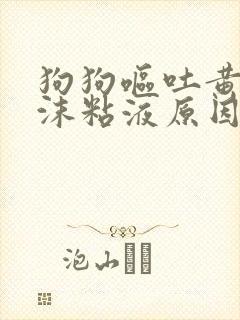 狗狗呕吐黄水泡沫粘液原因