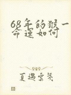 68年的猴一生命运如何封面