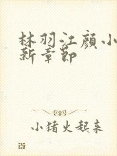 林羽江颜小说最新章节