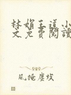 林娟王道小说全文免费阅读