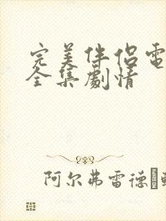 完美伴侣电视剧全集剧情封面