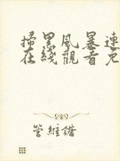 扫黑风暴连续剧在线观看免费完整版2021