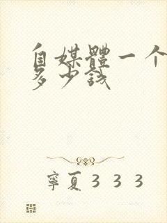 自媒体一个月赚多少钱封面