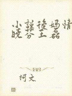 小说后妈情深杨晓芬王磊封面