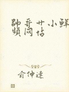 帅哥艹小鲜肉视频网站