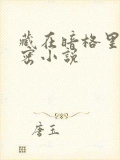 藏在暗格里的秘密小说