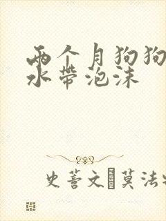 两个月狗狗吐黄水带泡沫封面