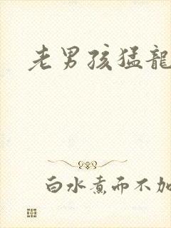 老男孩猛龙过江封面