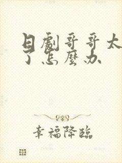 日剧哥哥太爱我了怎么办封面