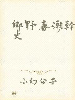 乡野春潮干柴烈火封面