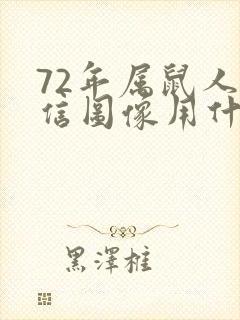 72年属鼠人微信图像用什么好