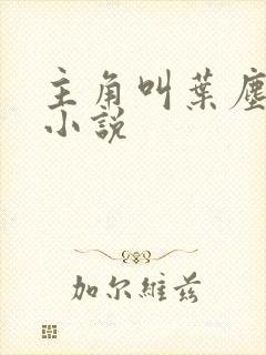 主角叫叶尘玄幻小说