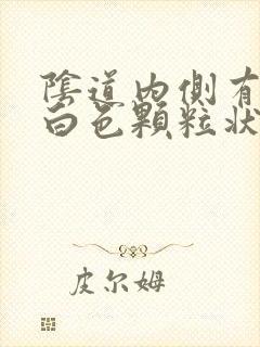 阴道内侧有些许白色颗粒状