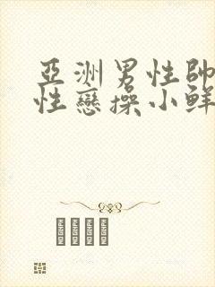 亚洲男性帅哥同性恋操小鲜肉逼