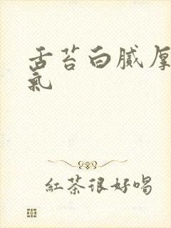 舌苔白腻厚有口气