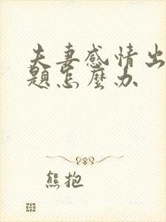 夫妻感情出了问题怎么办