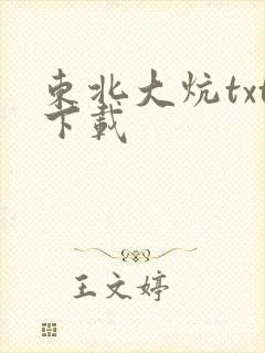 东北大炕txt下载