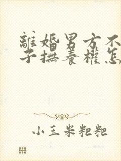 离婚男方不给孩子抚养权怎么办?封面