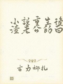 小说重生后成了渣老公的白月光封面