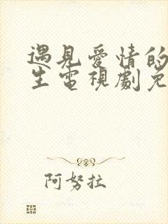 遇见爱情的利先生电视剧免费观看全集封面