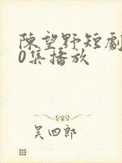 陈望野短剧第90集播放