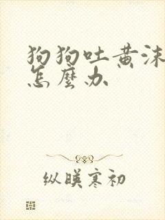 狗狗吐黄沫粘液怎么办