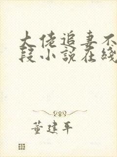 大佬追妻不择手段小说在线