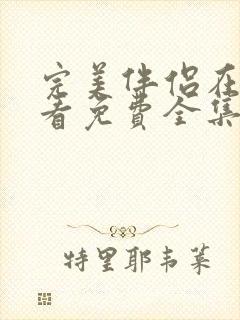 完美伴侣在线观看免费全集封面