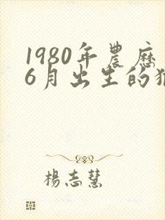 1980年农历6月出生的猴人命运如何