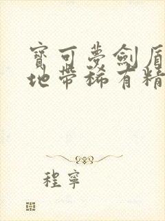 宝可梦剑盾旷野地带稀有精灵分布