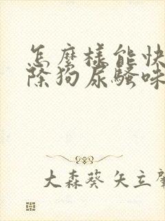 怎么样能快速去除狗尿骚味