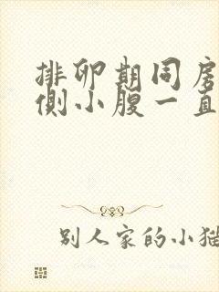 排卵期同房后右侧小腹一直隐隐作痛封面
